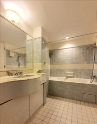 Cavenagh Lodge (D9), Apartment #462534911